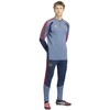 Adidas FC Bayern DNA treniruočių džemperis KF1037