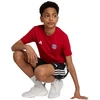 adidas FC Bayern Munchen vaikiški marškinėliai Raudona IT4138
