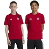 adidas FC Bayern Munchen vaikiški marškinėliai Raudona IT4138