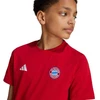 adidas FC Bayern Munchen vaikiški marškinėliai Raudona IT4138