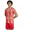 adidas FC Bayern priešrungtyniniai marškinėliai JSY M JD8335