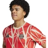 adidas FC Bayern priešrungtyniniai marškinėliai JSY M JD8335
