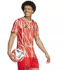 adidas FC Bayern priešrungtyniniai marškinėliai JSY M JD8335