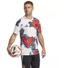 adidas FC Bayern Priešvaržybų marškinėliai JE6776