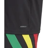 Adidas Fortore 23 JSY M Marškinėliai IK5737