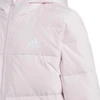 Adidas Frosty Jacket Jr HM5237 striukė