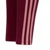 adidas G 3S Leg W HE1997 Leginsai