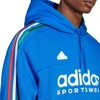 Adidas House of Tiro Nations Pack M džemperis IY4532