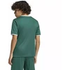 adidas Jaunimo marškinėliai Entrada 26 KE9834