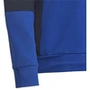 Adidas Junior "Colourblock" džemperis