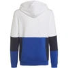Adidas Junior "Colourblock" džemperis