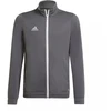 Adidas Junior Entrada 22 sportinio kostiumo kelnės Jr H57521