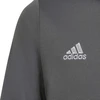 Adidas Junior Entrada 22 sportinio kostiumo kelnės Jr H57521