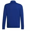 Adidas Junior Entrada 22 sportinis džemperis Jr HG6288