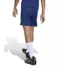 adidas Junior Entrada 26 JZ6532 šortai