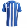 adidas Juventas Marškinėliai Striped 21 GH7323