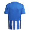 adidas Juventas Marškinėliai Striped 21 GH7323