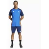 adidas Juventus treniruočių viršus M JSY JE4299