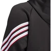 Adidas Krepšinio Crazy Warm Hoody M JN2491