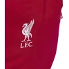 adidas Liverpool FC Kuprinė JZ5881
