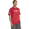 adidas Liverpool FC Marškinėliai JW5487
