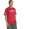adidas Liverpool FC Marškinėliai JW5487
