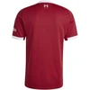 adidas Liverpool FC Namų marškinėliai JV6423