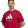 adidas Liverpool FC Sezoniniai DNA Grafiniai marškinėliai 2 JY3466