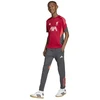 adidas Liverpool FC treniruočių marškinėliai jaunimui KB1468
