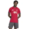 adidas Liverpool FC Treniruočių marškinėliai KB1466