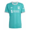adidas Liverpool FC treti marškinėliai JV6428