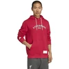 Adidas Liverpool FC US džemperis su gobtuvu JW5489