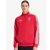 adidas Liverpool LFC DNA bliuzonas JW7892