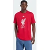 adidas Liverpool LFC DNA marškinėliai JW7894