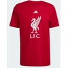 adidas Liverpool LFC DNA marškinėliai JW7894