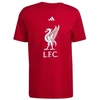 adidas Liverpool LFC DNA marškinėliai JW7894