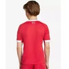„adidas Liverpool LFC Home Jr JV6436 marškiniai“