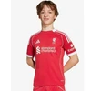 „adidas Liverpool LFC Home Jr JV6436 marškiniai“