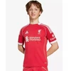 „adidas Liverpool LFC Home Jr JV6436 marškiniai“