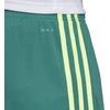 adidas M Tastigo 19 Šortai DP3251