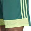 adidas M Tastigo 19 Šortai DP3251