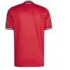 adidas Manchester United namų marškinėliai M JI7428