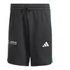 Adidas Mercedes DNA M JV5429 šortai