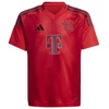 adidas Miuncheno Bayern jaunimo marškinėliai IT2249
