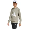 adidas Naujas logotipas Siuvinėta beisbolo kepurė JN6590