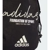 Adidas Organizer Graphic Classic IX6809 krepšys