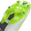 Adidas Predator Accuracy.1 L FG M GZ0032 futbolo bateliai