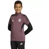 adidas Real Madrid Jaunimo treniruočių bliuzonas KA1688