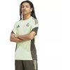 Adidas Real Madrid treniruočių marškinėliai JSY M JP3977