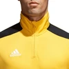 Adidas Regista 18 M treniruočių džemperis CZ8648